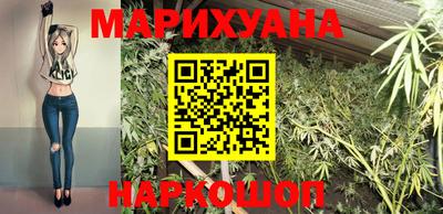 ешки Гай