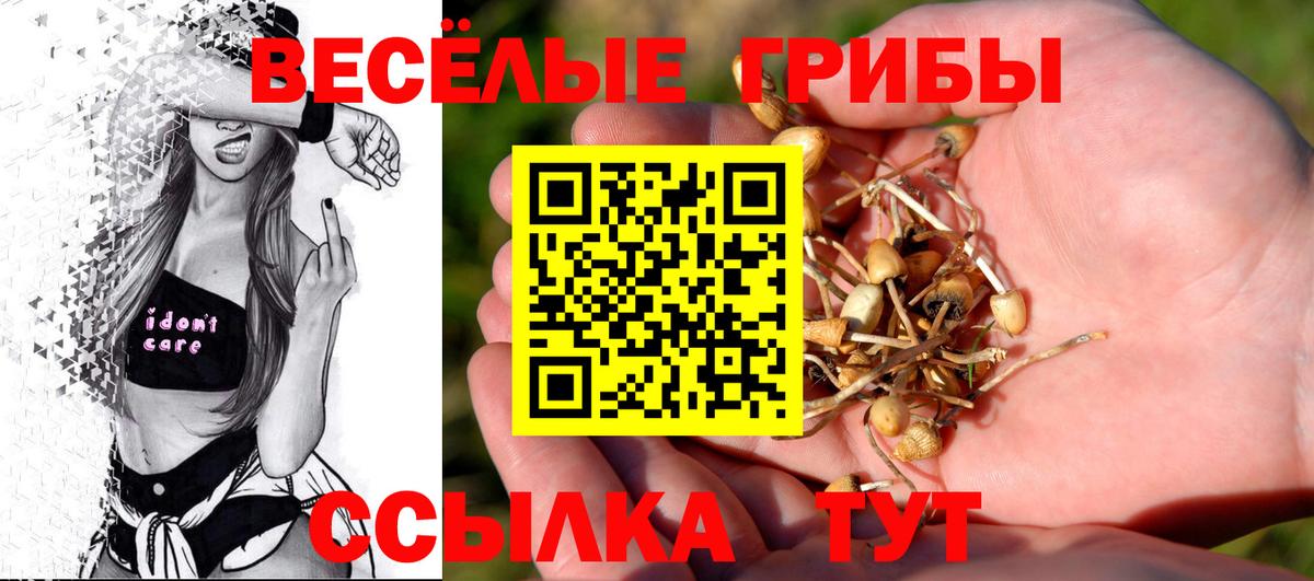 Галлюциногенные грибы прущие грибы  Вход с VPN  Галлюциногенные грибы Magic Shrooms  Ирбит 